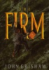 Book cover for "The firm".